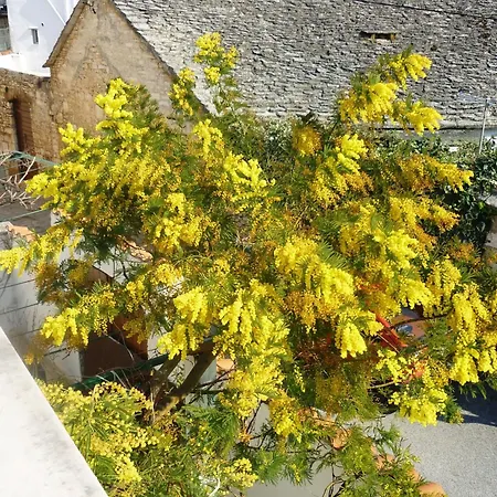 Karla 4 Апартаменты *